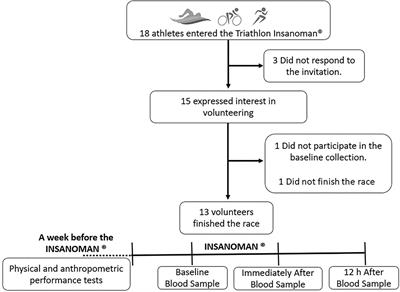 Metabolic and immune/inflammatory alterations induced by a triathlon under extreme conditions